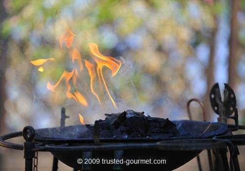 fbbq3 Wait until all coals are ashed over before spreading them